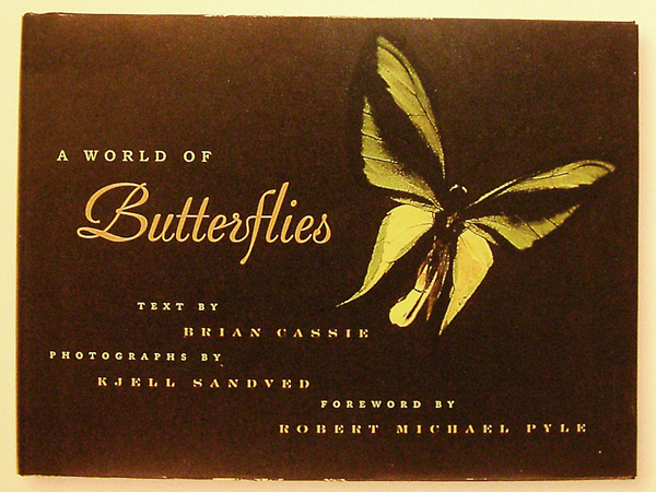 butterfly fonts